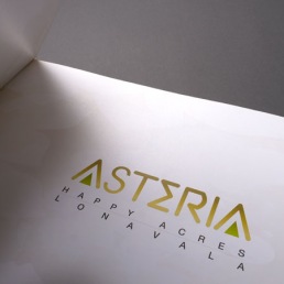 printing and packaging companies in india