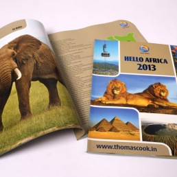 printing companies in india