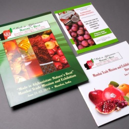 brochure designing in mumbai