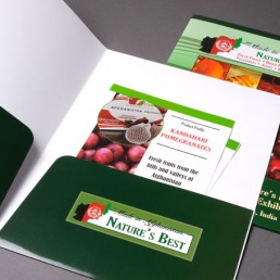 brochure designing in mumbai